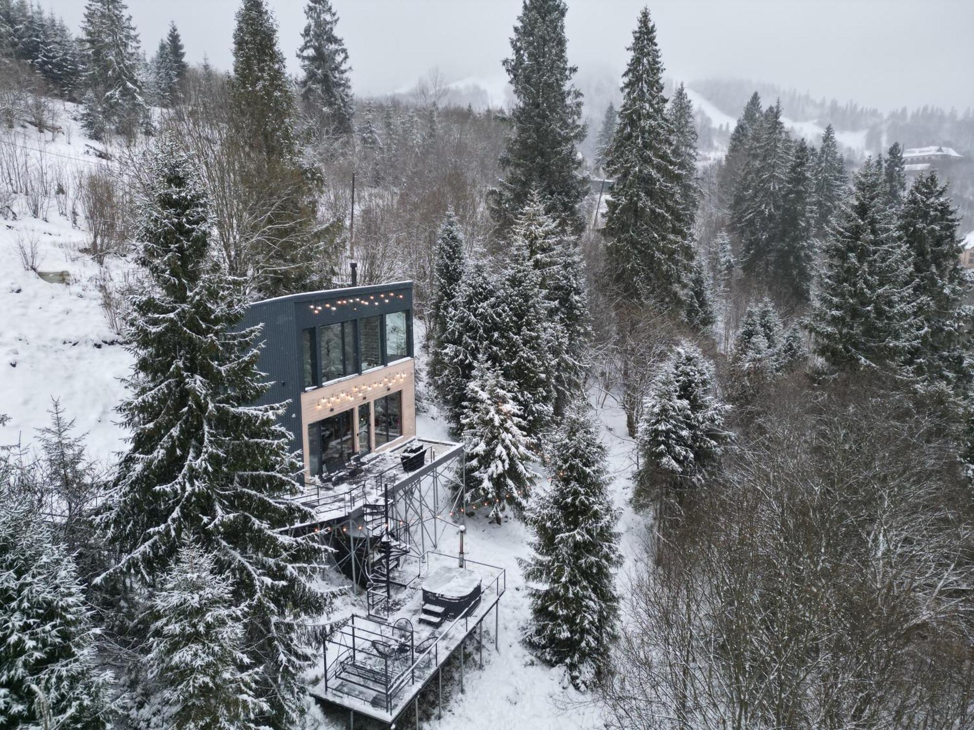 Forest Hub Villa Славске Екстериор снимка